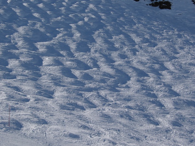 6436-img3977.jpg