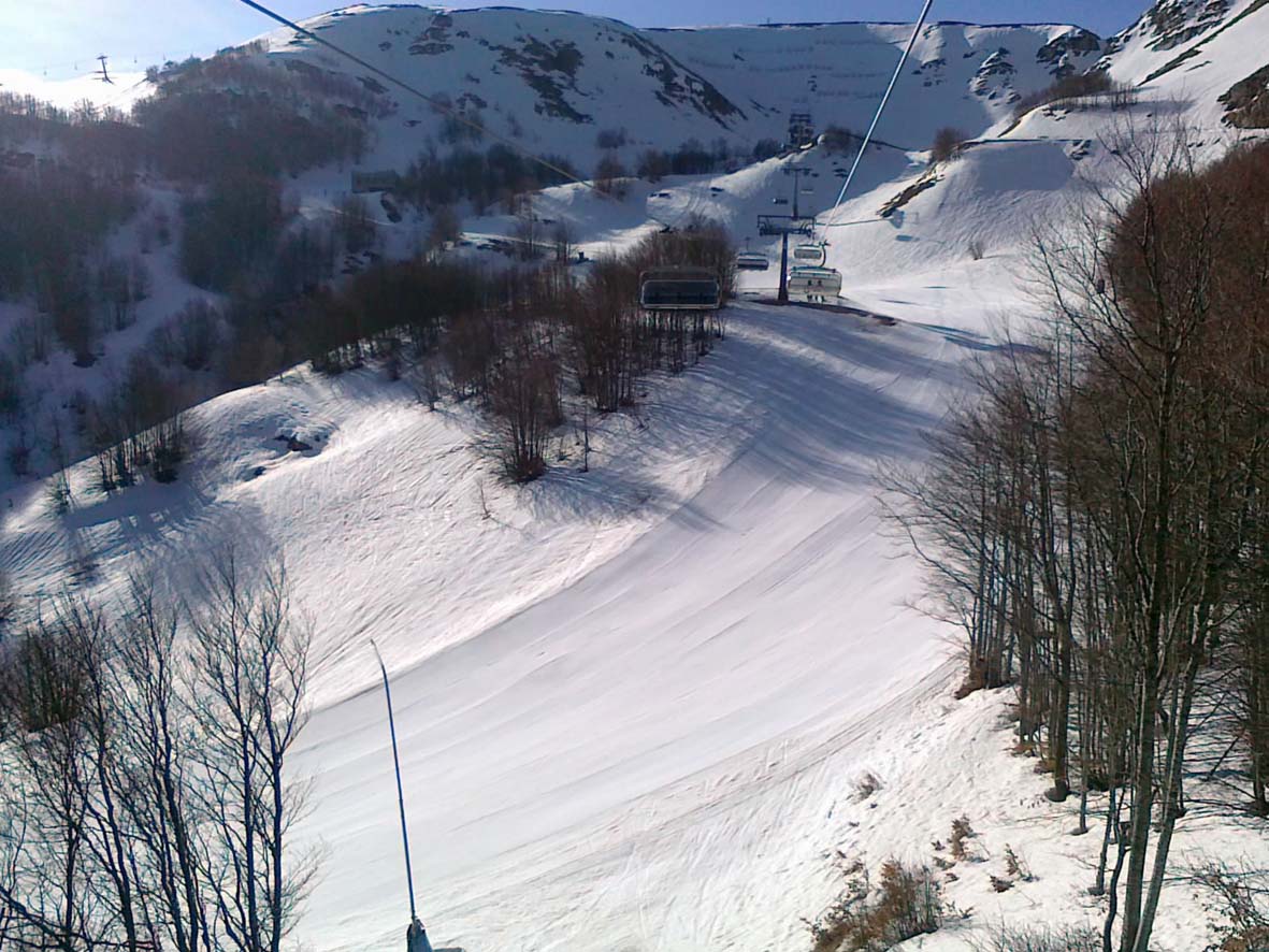 64495-01042011069.jpg