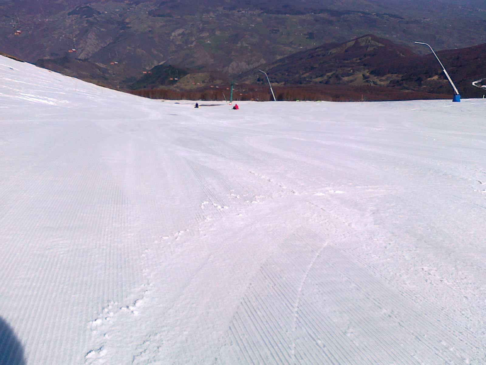 64505-01042011082.jpg