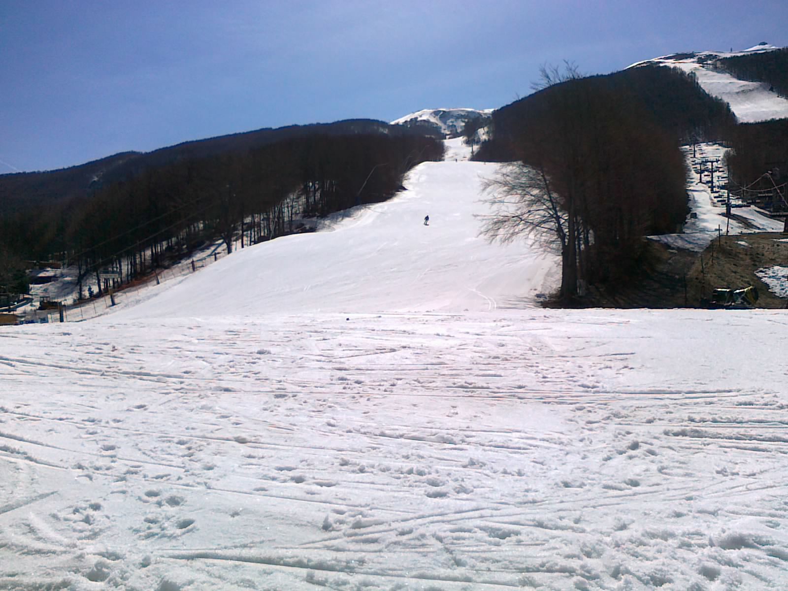 64506-01042011083.jpg