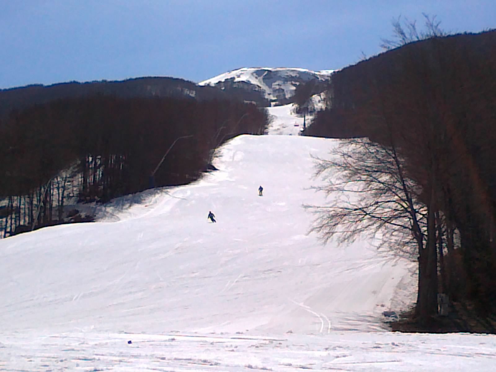64507-01042011084.jpg