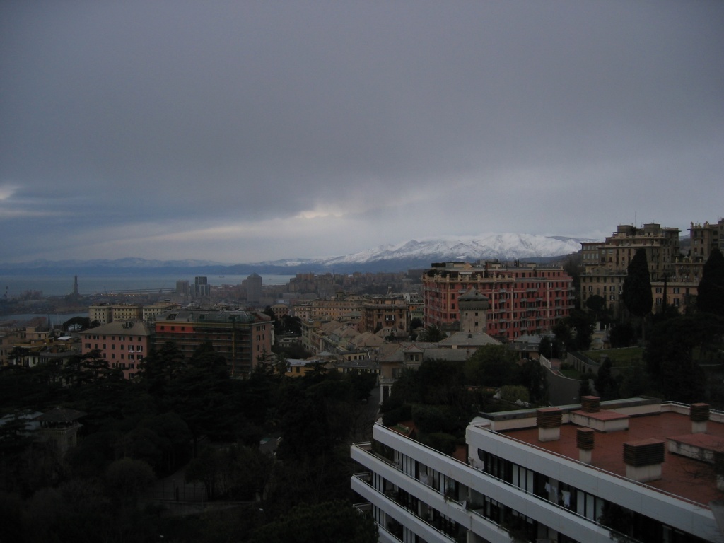 6593-img4451.jpg