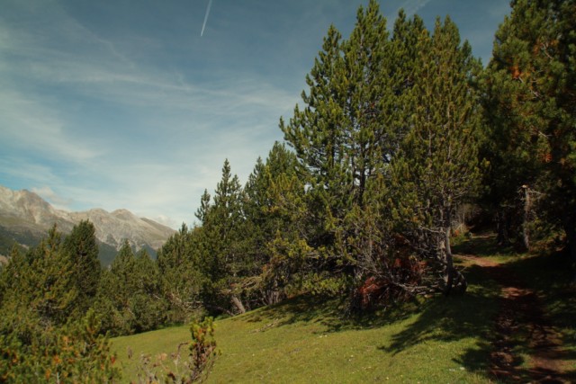 66679-img0989-mod-640x480.jpg