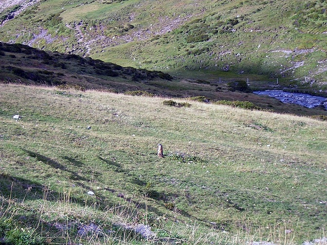 66924-agosto-2011-045.jpg