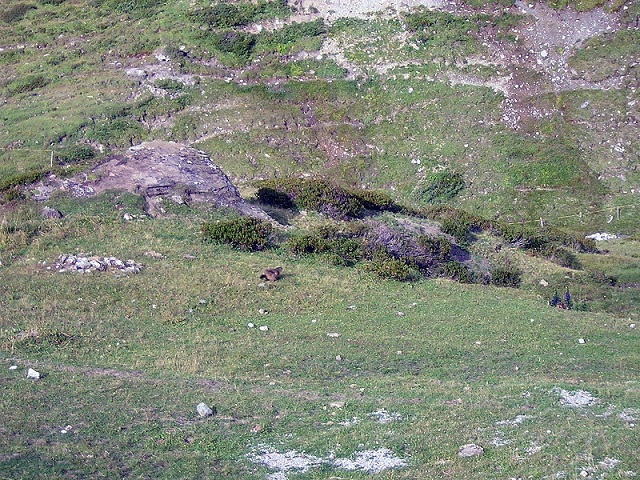 66925-agosto-2011-047.jpg