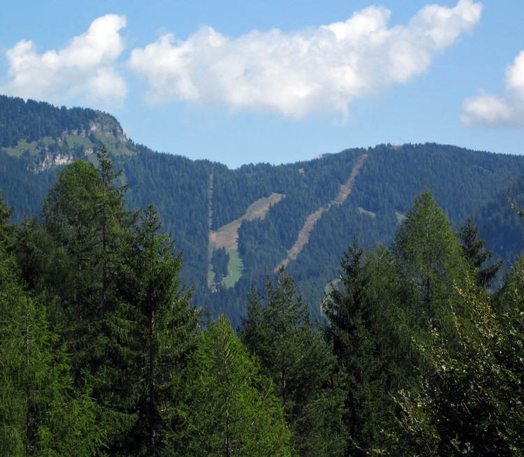 67081-piste-sci-estate.jpg