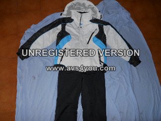 67386-py1.jpg