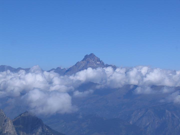 67396-308951.jpg