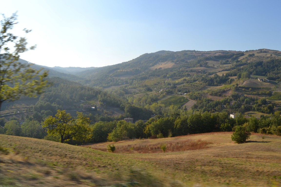 67621-matrimonio-elisa-012-medium.jpg