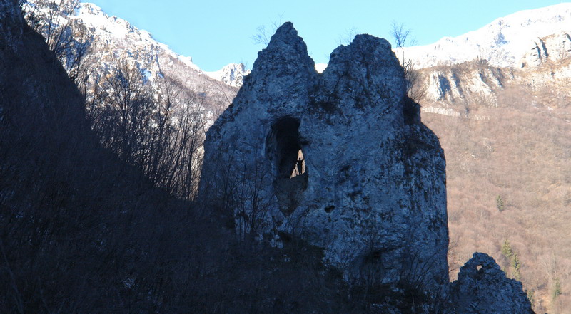 67645-goggia6.jpg