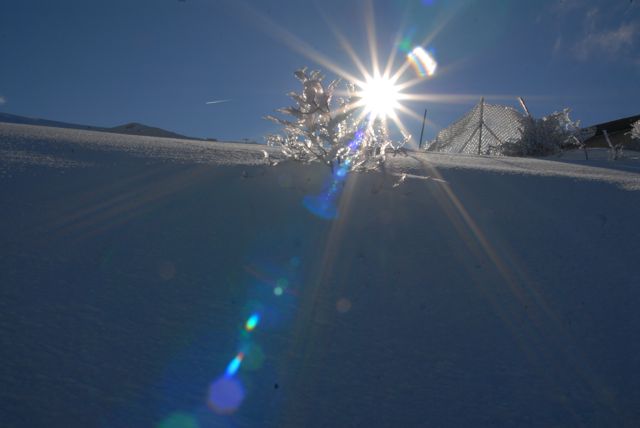 70064-0001657.jpg
