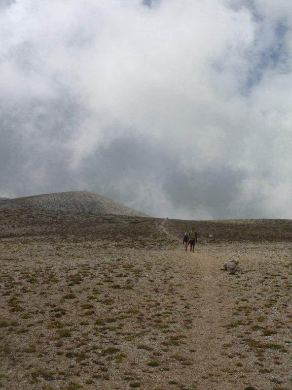 71942-p1100559.jpg