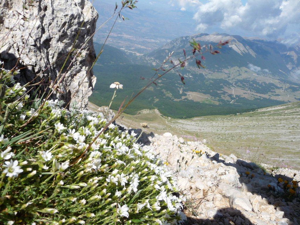 71943-p1100553.jpg
