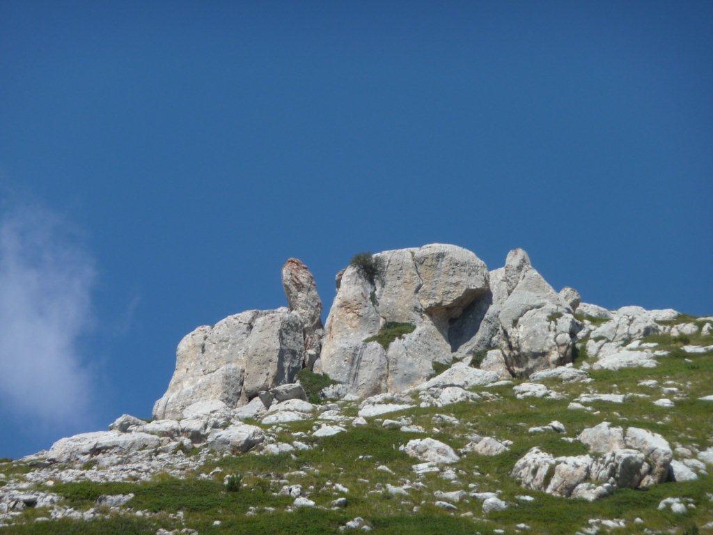 71945-p1100590.jpg