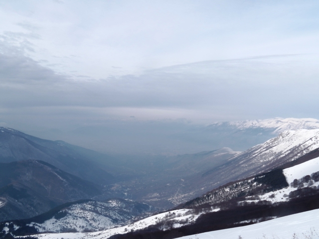 72350-pan.jpg