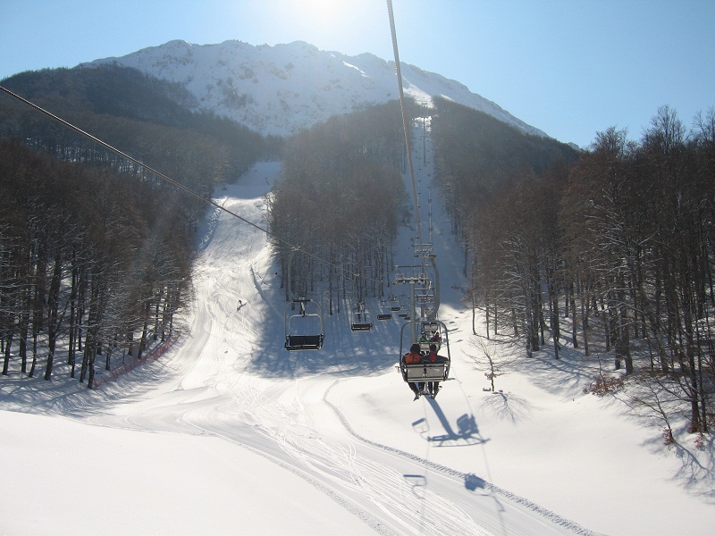 73421-img4382.jpg