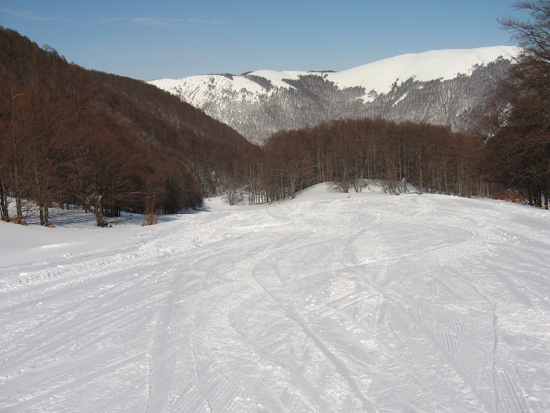 73426-img4384.jpg
