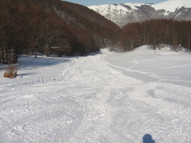 73427-img4386.jpg