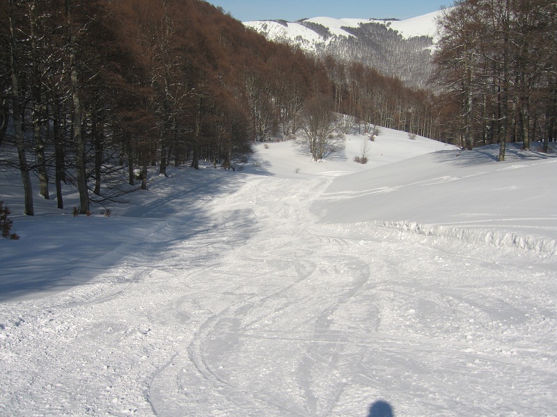 73428-img4388.jpg