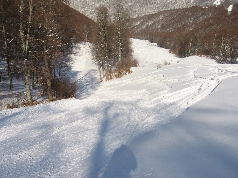 73429-img4389.jpg