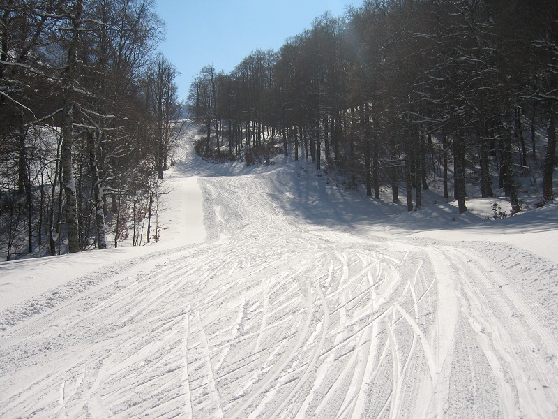 73430-img4390.jpg