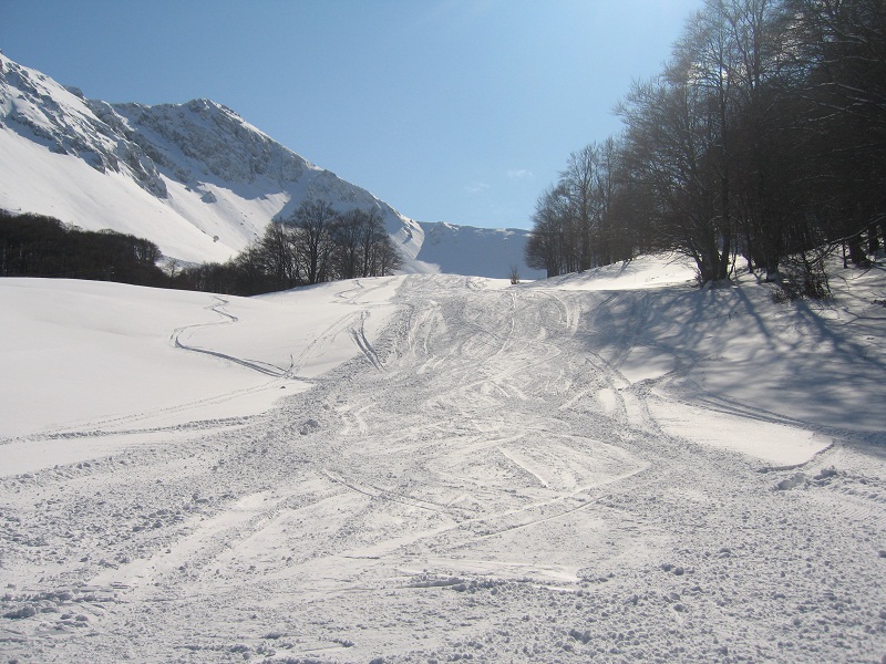 73431-img4387.jpg
