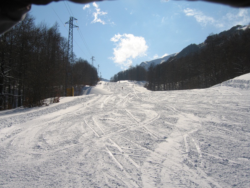 73432-img4394.jpg