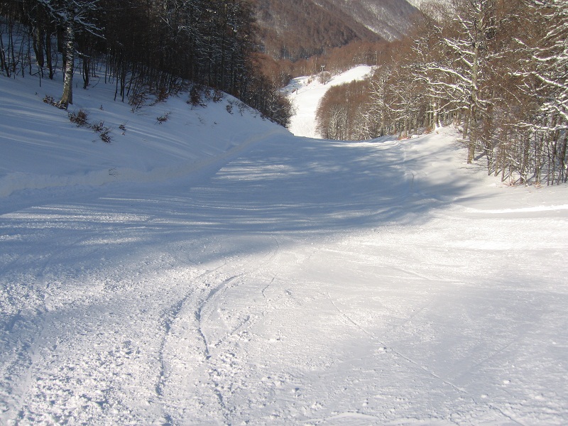 73433-img4391.jpg