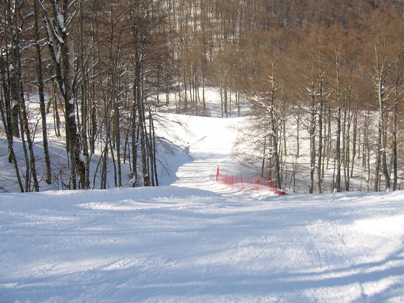 73435-img4393.jpg