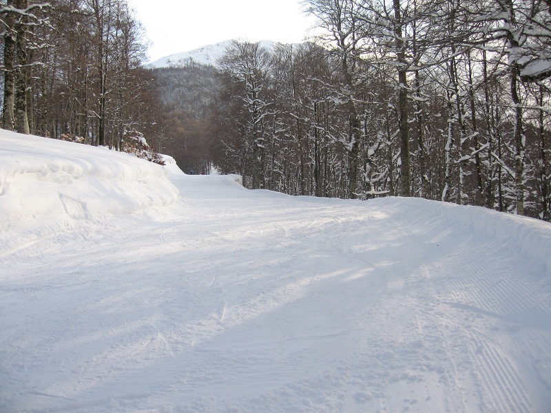 73436-img4395.jpg