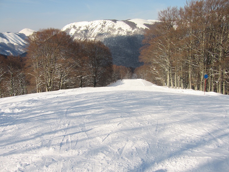 73437-img4396.jpg
