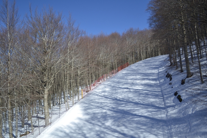 74404-amiata5.jpg