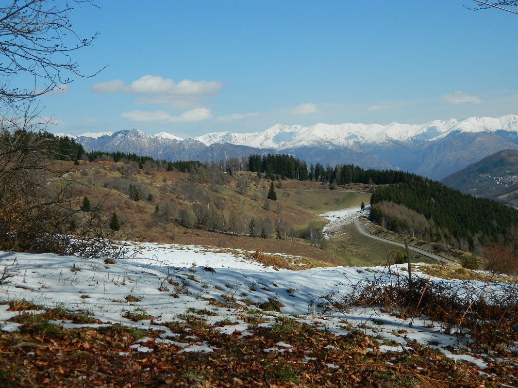 75391-generoso-0021067x800.jpg