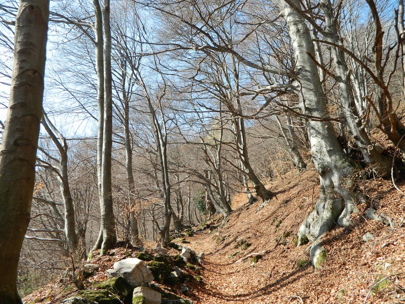75392-generoso-004800x600.jpg