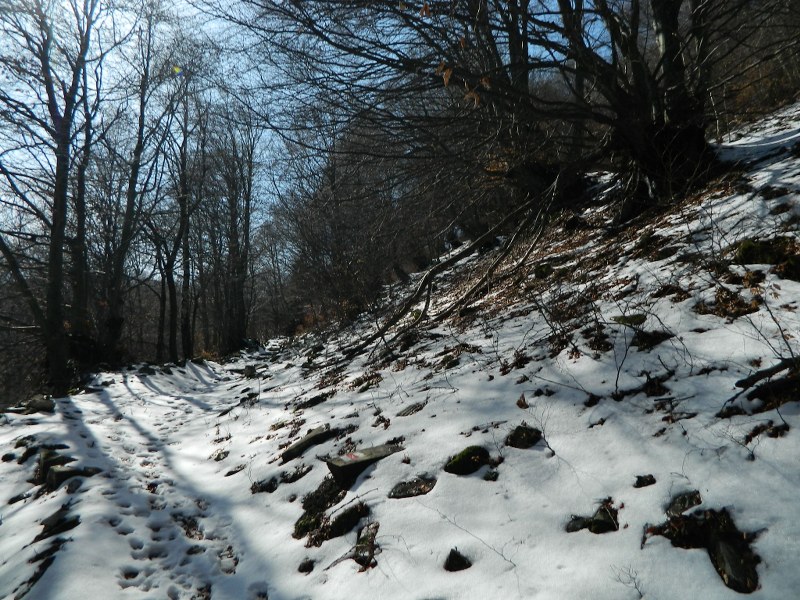 75393-generoso-005800x600.jpg