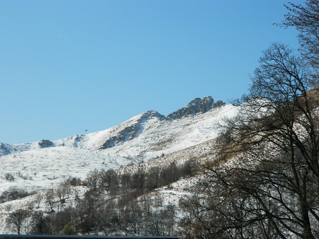 75394-generoso-0071067x800.jpg