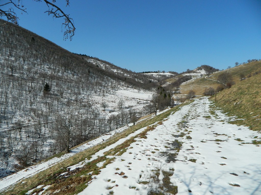 75398-generoso-0091024x768.jpg