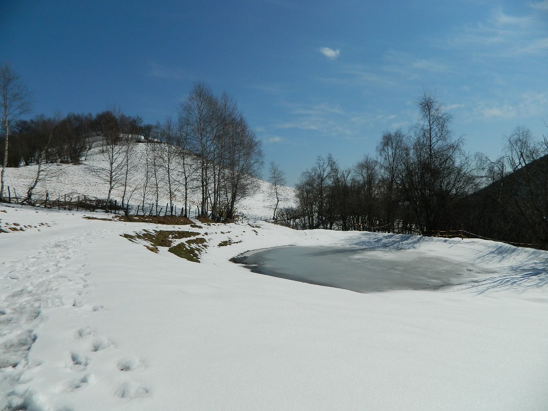 75399-generoso-0111067x800.jpg