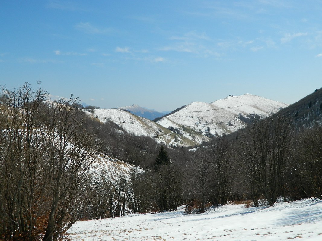 75400-generoso-0121067x800.jpg