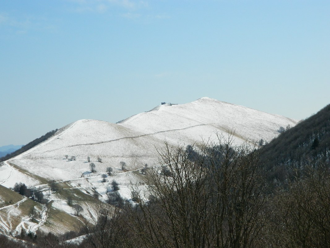 75401-generoso-0131067x800.jpg