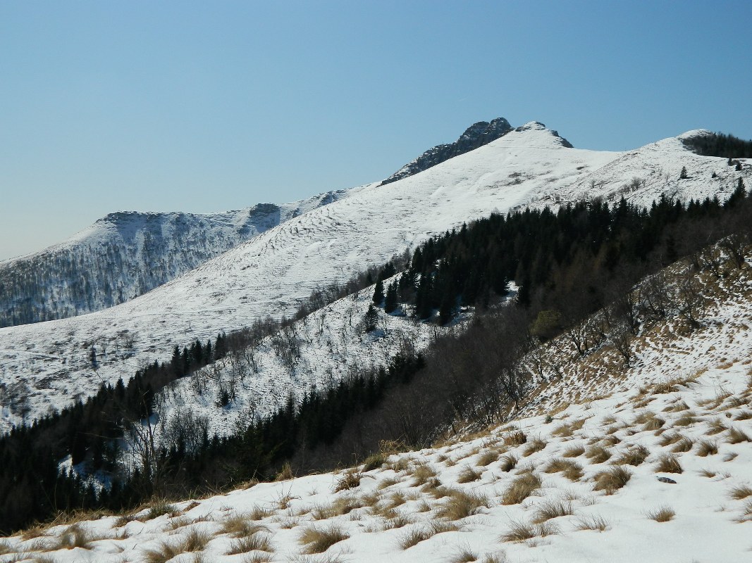 75402-generoso-0151067x800.jpg