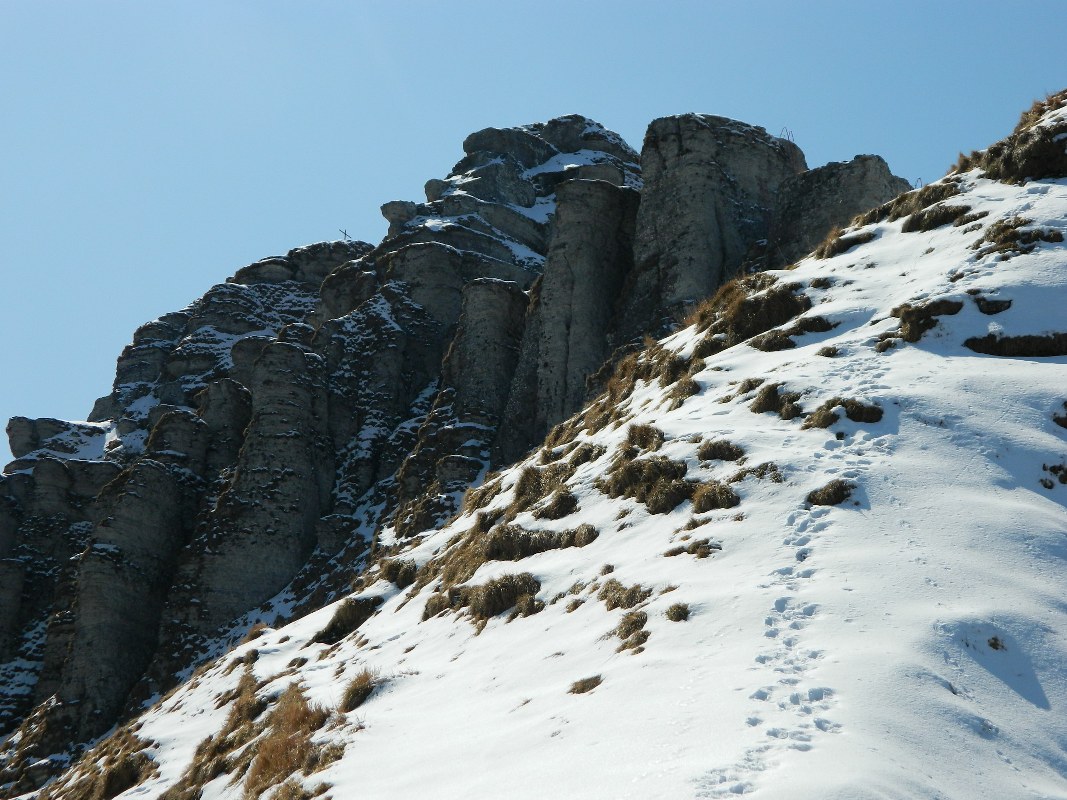 75407-generoso-0201067x800.jpg