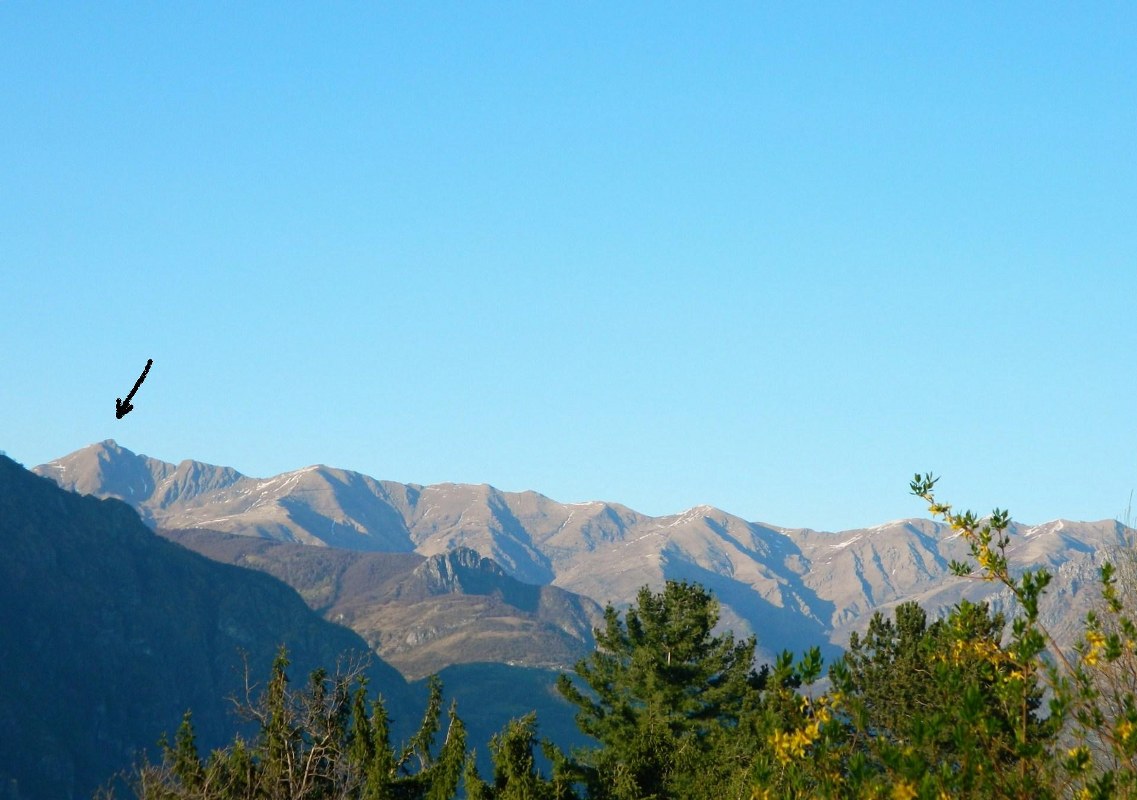 75784-dddd1137x800.jpg