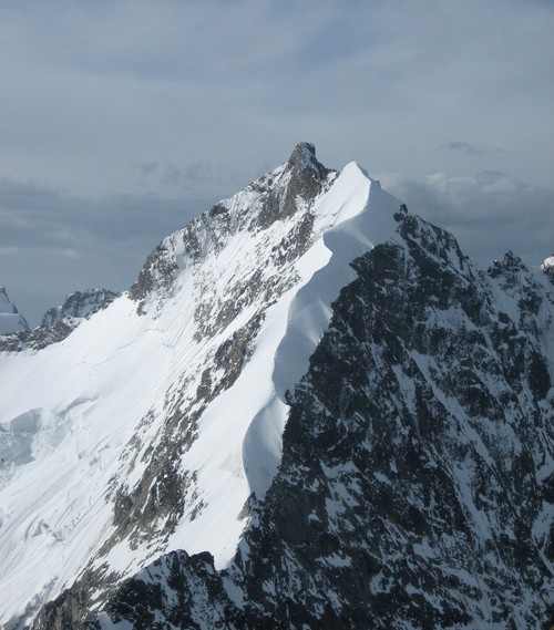 77554-biancograt-bernina.jpg
