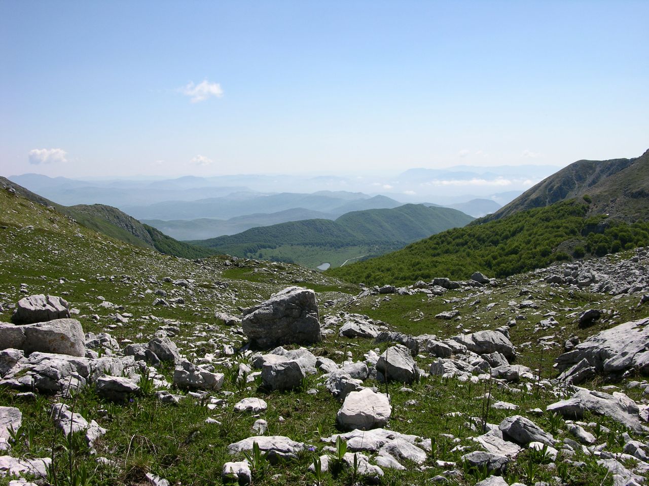 78365-mainarde007.jpg