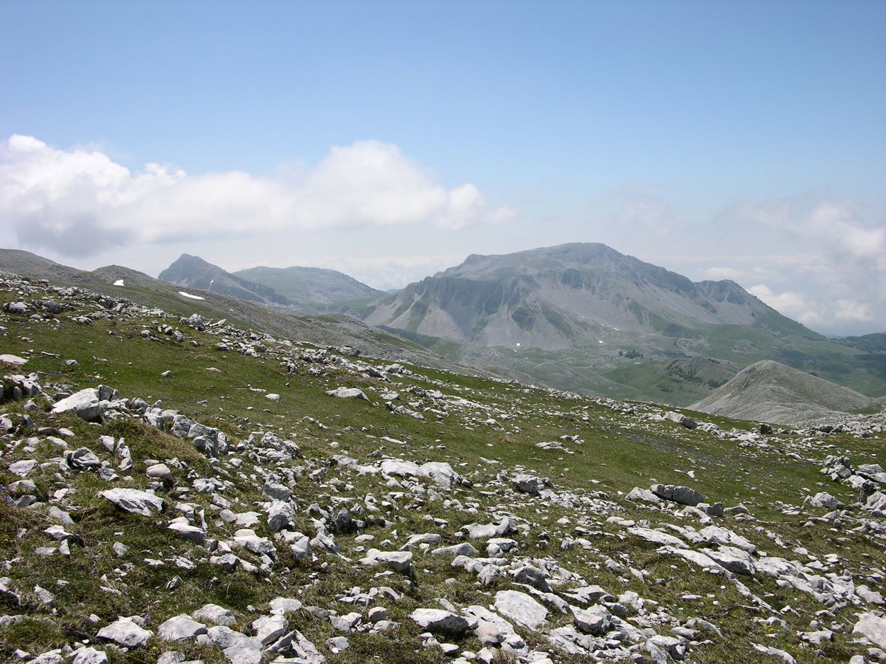 78377-mainarde021.jpg