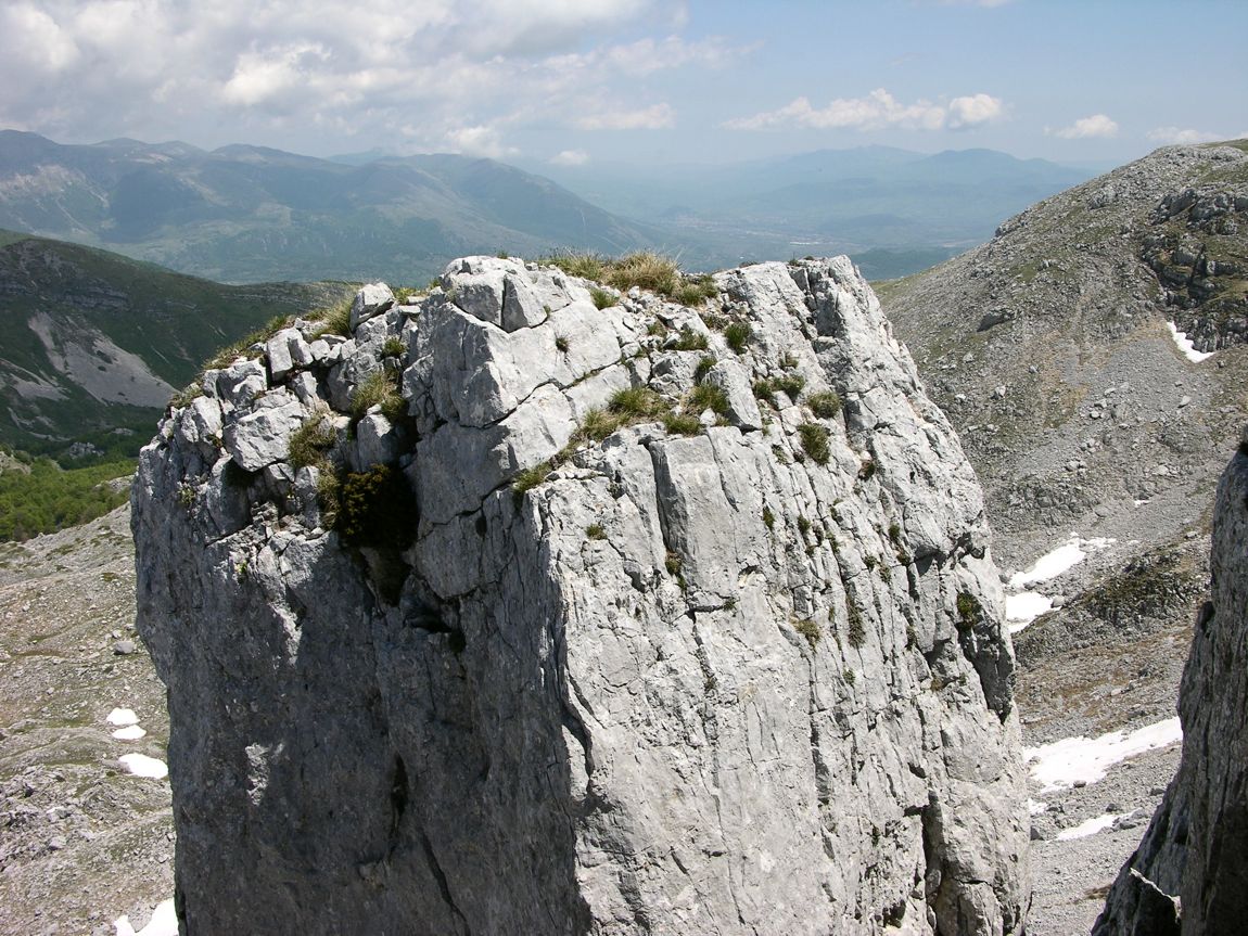 78378-mainarde022.jpg