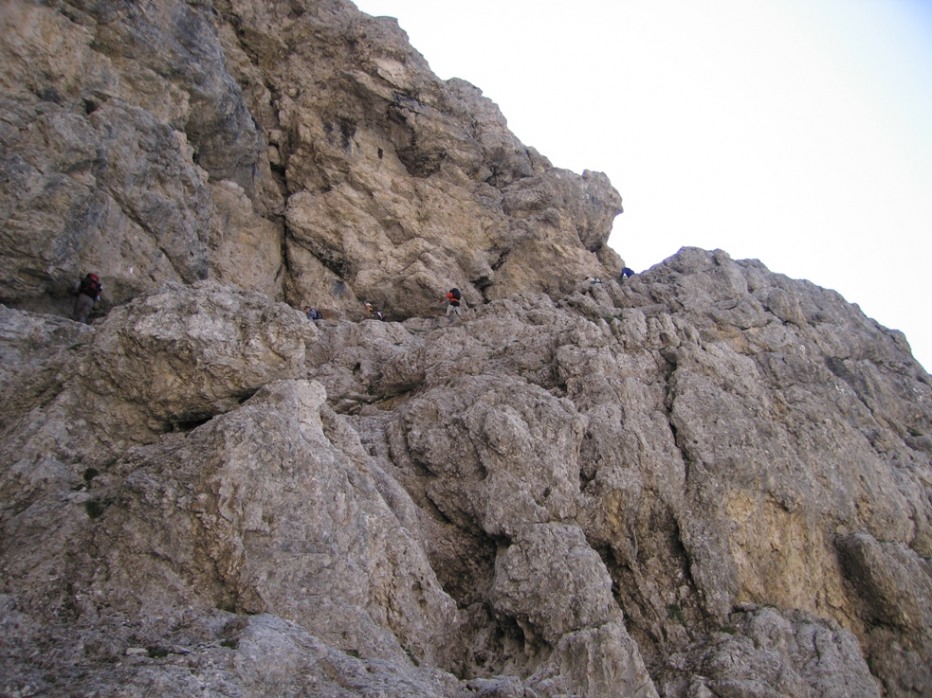 78698-010.jpg