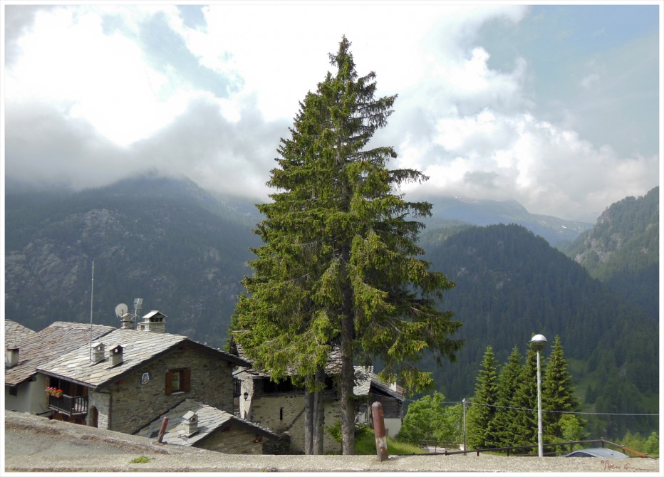 78864-lagomiserinecheminduroi001.jpg