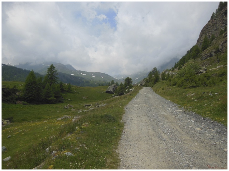 78867-lagomiserinecheminduroi010.jpg